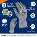 51-625_infografia_6.webp