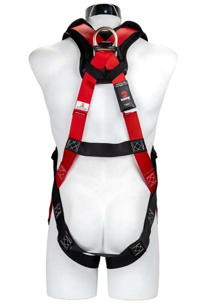ecommerce-0114.webp