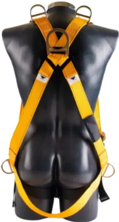 Captura de pantalla 2025-05-31 104824.webp